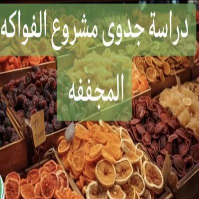 دراسة جدوى فواكة مجففه 